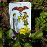 Two of Cups Tarot Card Meaning Love